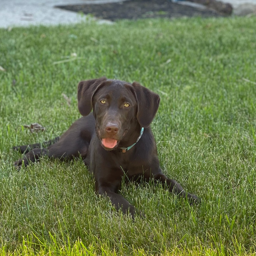 Meet your Posher, Gina